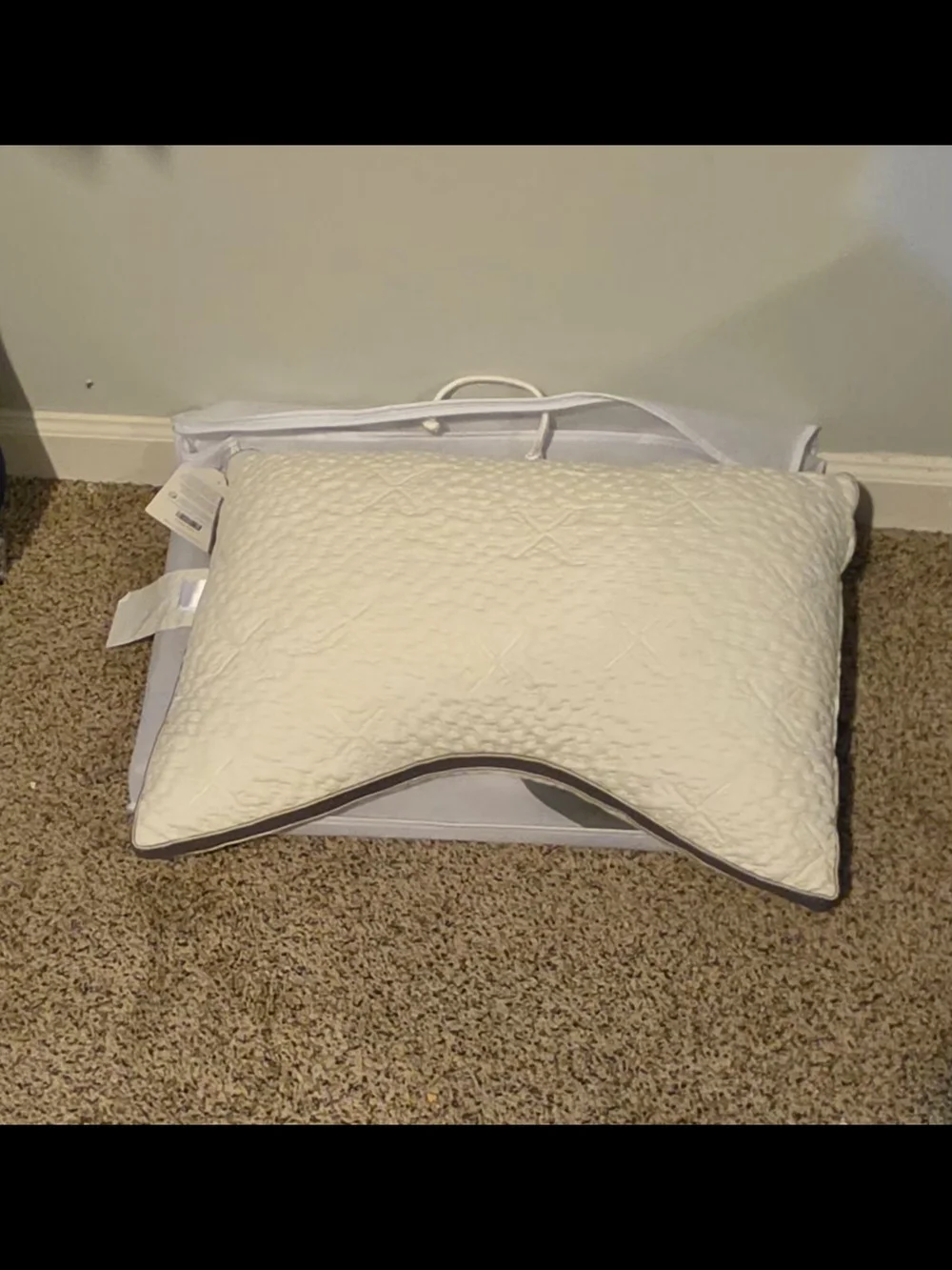 Sleep Number Comfortfit Curve Pillow